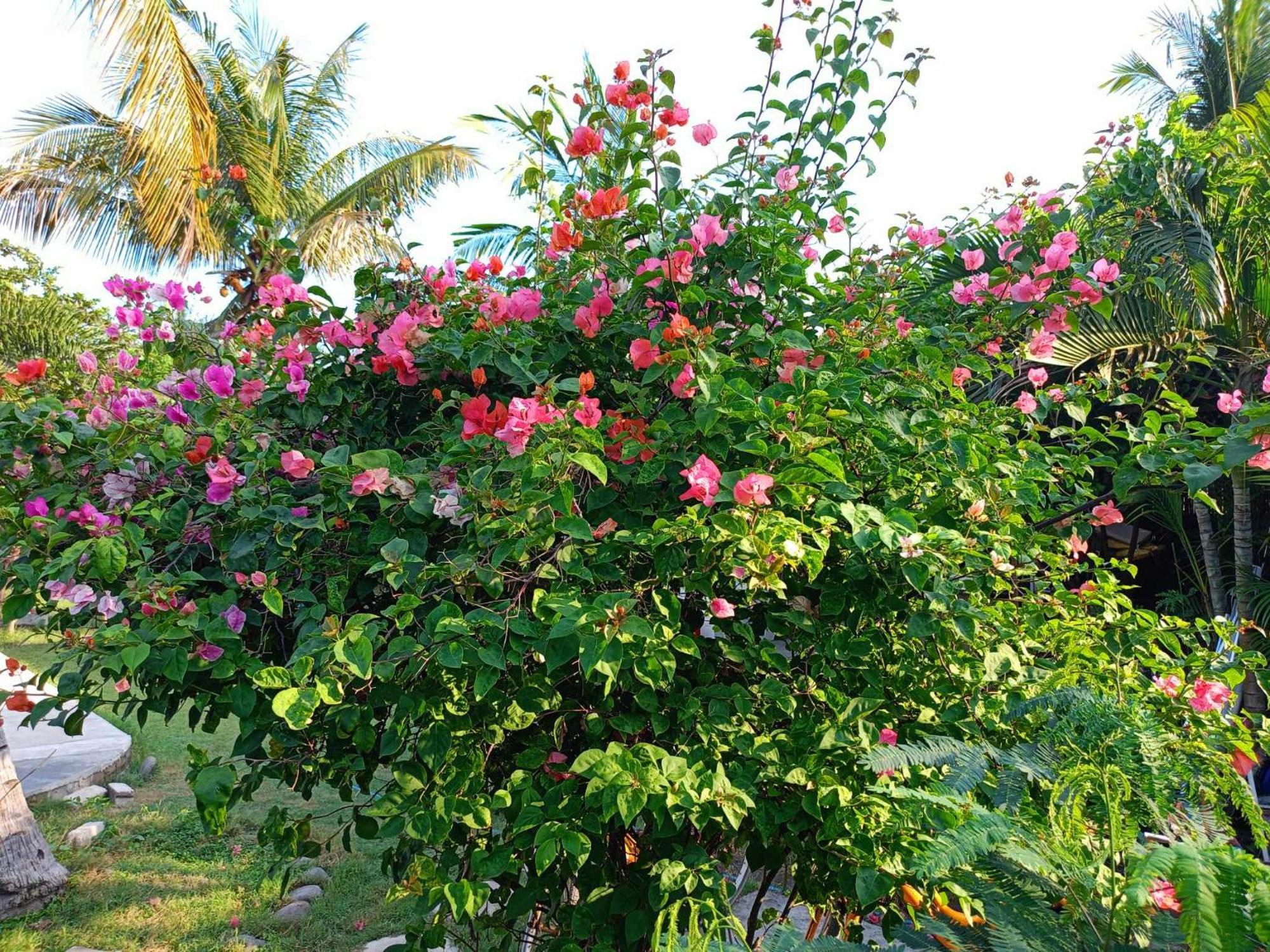 Bintang Tiga Bungalows Gili Air Exterior foto